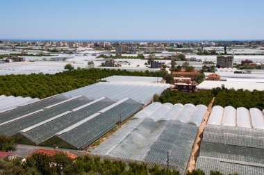 Greenhouses near Demre (Turkey) clipart