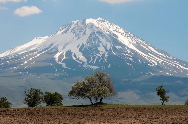 Monte Hasan (Turchia) ) — Foto Stock