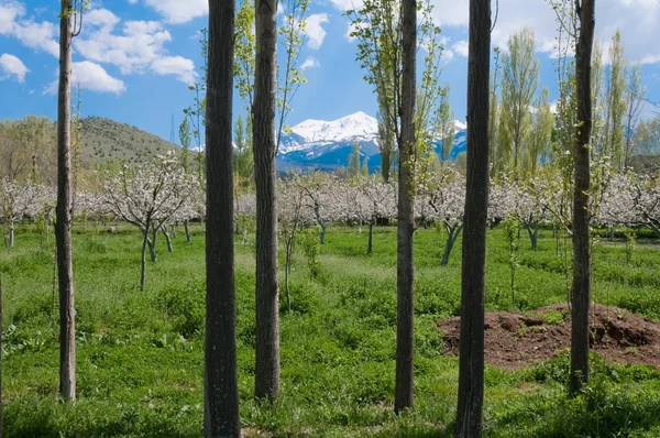 Paisaje turco con Monte Hasan, Aksaray (Turquía ) —  Fotos de Stock