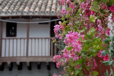 Posada del potro, cordoba (İspanya, tipik mimari)