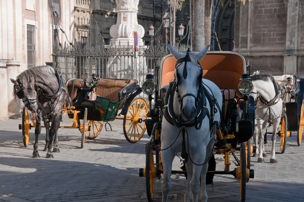 Carriages near Cathedral, Seville (Spain) — Stock Photo, Image