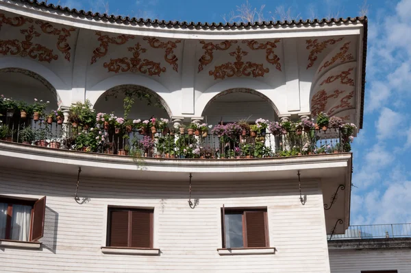 Здание на площади Кабильдо, Севиль (Испания) ) — стоковое фото