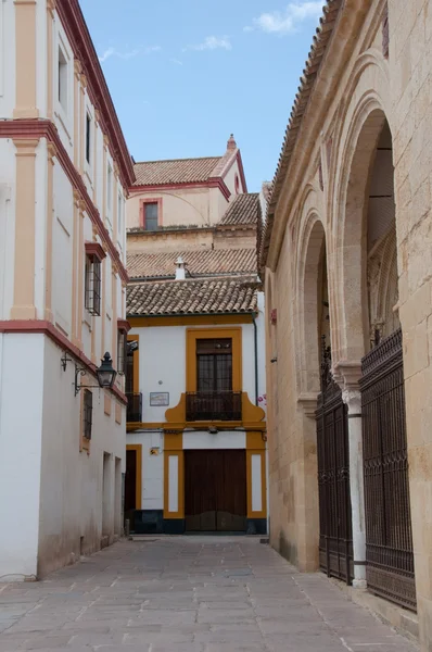 Gränden framför museum of fine arts, Córdoba (Spanien) — Stockfoto
