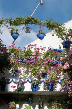 Cordoba (İspanya avlusu Festival)