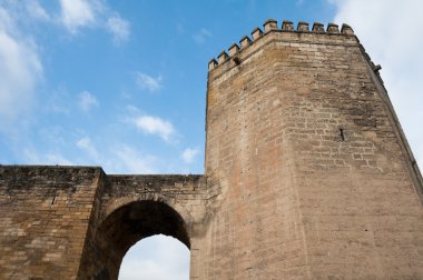 Malmuerta Tower, Cordoba (Spain)