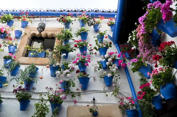 Los patios de Córdoba, Patrimonio Inmaterial de la Humanidad (España ) —  Fotos de Stock