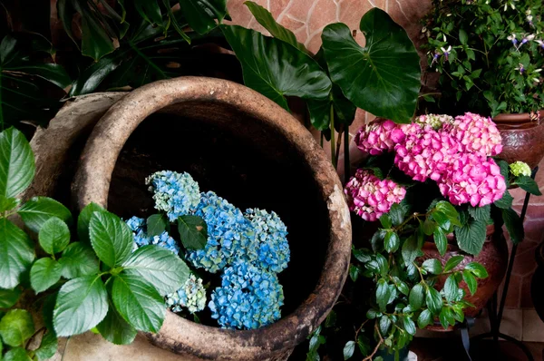 Festival dei Cortili di Cordova (Spagna) ) — Foto Stock