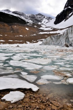 mount edith cavell, jasper national park (Kanada Buzulu)