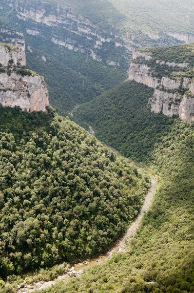 Foz von arbayun, Naturschutzgebiet in navarre (spanien) — Stockfoto
