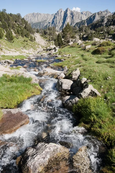 Creek at Aiguestortes and Sant Maurici National Park, Pyrenees — Stock Photo, Image