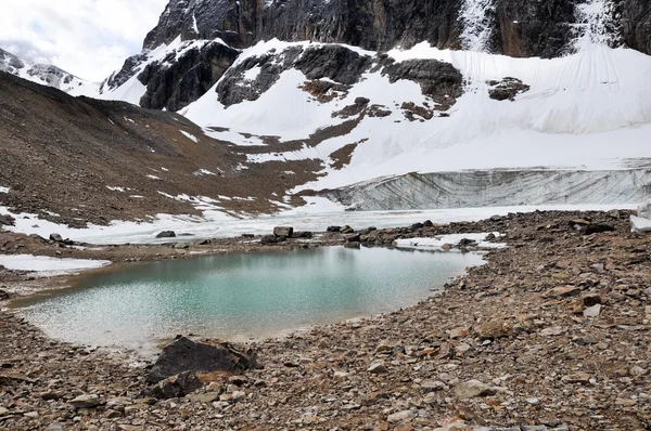 Teich und Gletscher, Mount Edith Cavell, Jaspis np (Kanada)) — Stockfoto