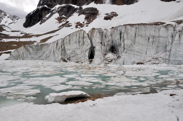 Gletsjer van mount edith cavell, het nationaal park jasper (canada) — Stockfoto