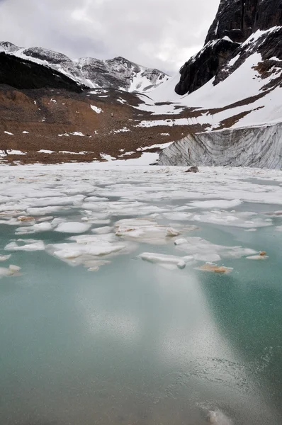 Gletsjer van mount edith cavell, het nationaal park jasper (canada) — Stockfoto