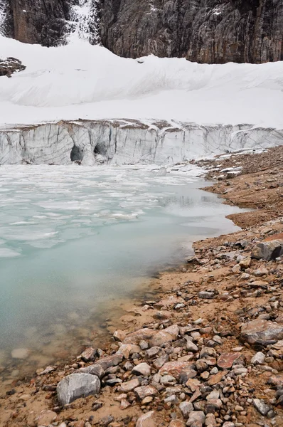 Gletsjer van mount edith cavell, het nationaal park jasper (canada) — Stockfoto