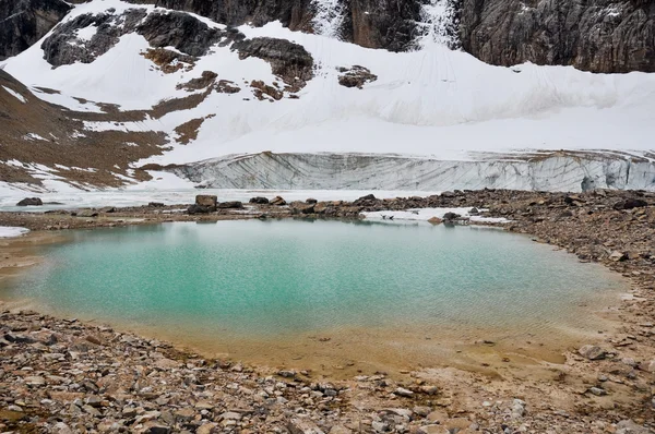 Pond and glacier, Mount Edith Cavell, Jasper NP (Canada) — Stock Photo, Image
