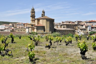bağ ve şehir elciego, rioja alavesa (İspanya)