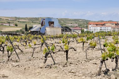 Şehir elciego ve modern şaraphane marques de riscal üzerinde 26 Mayıs 2013 elciego, Bask Ülkesi, İspanya