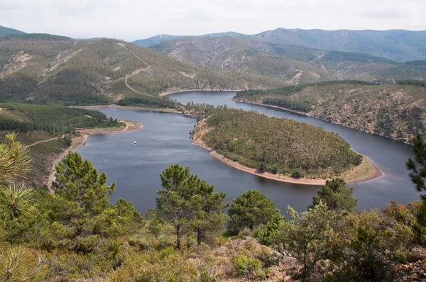 Meandr řeky alagon, extremadura (Španělsko) — Stock fotografie