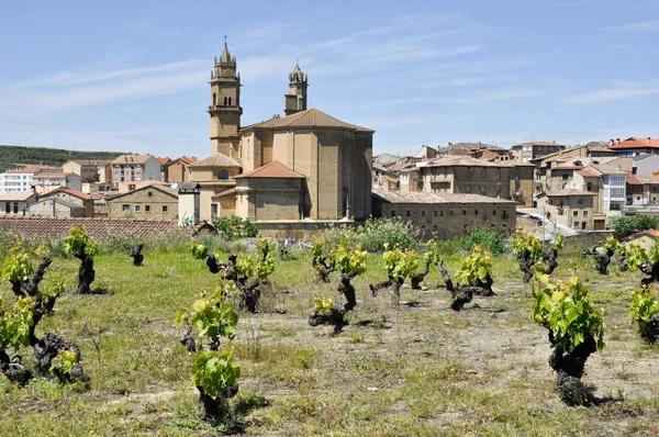 Weinberg und Stadt elciego, rioja alavesa (Spanien) — Stockfoto