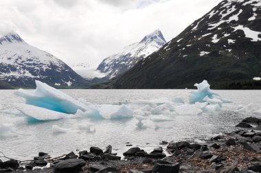 Portage lake with iceberg, Alaska clipart