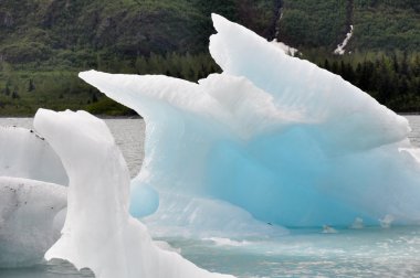 Iceberg in Portage lake, Alaska clipart