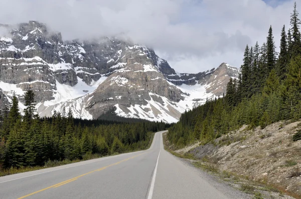 Icefields parkway, autostrady 93, alberta (canada) — Zdjęcie stockowe