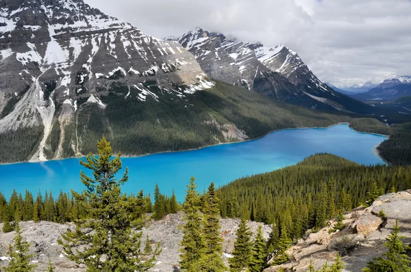 Peytomeer, rocky mountains (canada) — Stockfoto