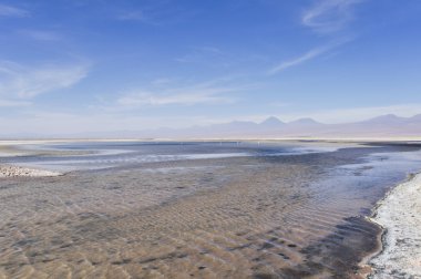 tuz düz ve atacama, chile