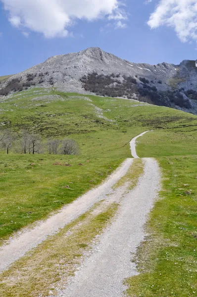 Footpath at Urbia meadow, Basque Country, Spain — Stock Photo, Image