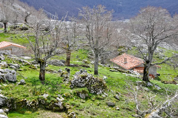 Σπίτια βόσκηση στην Σιέρα ντε aizkorri, χώρα των Βάσκων, Ισπανία — Φωτογραφία Αρχείου