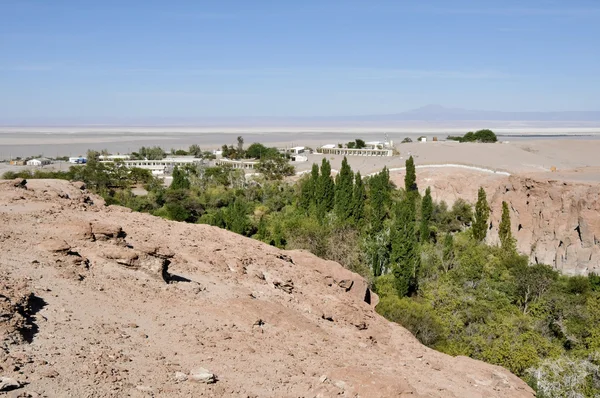 Jerez oasis, Toconao, Chile — Stok fotoğraf