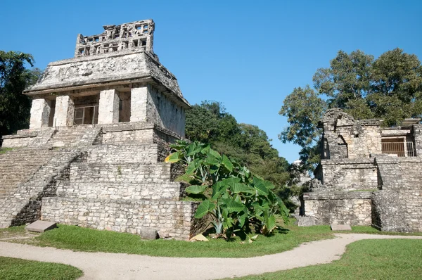 Chrám slunce na Mayské ruiny města palenque (Mexiko) — Stock fotografie