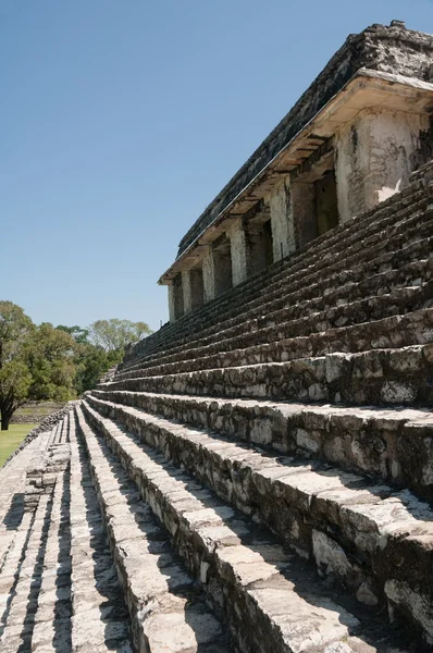 Het paleis, de oude Maya stad van palenque (mexico) — Stockfoto