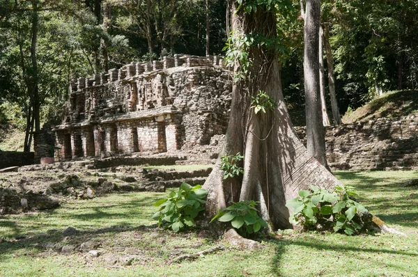 Régészeti lelőhely a yaxchilan, chiapas (Mexikó) — Stock Fotó