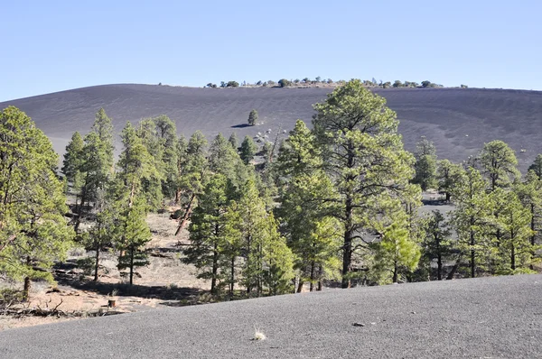 Monument national du volcan Sunset Crater, Arizona — Photo