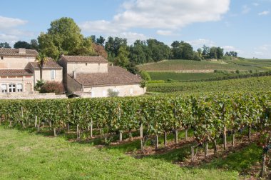saint-emilion, Fransa mahzeninde