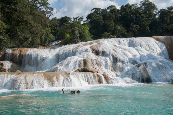 Cascadas de Agua Azul, Chiapas, México — Foto de Stock