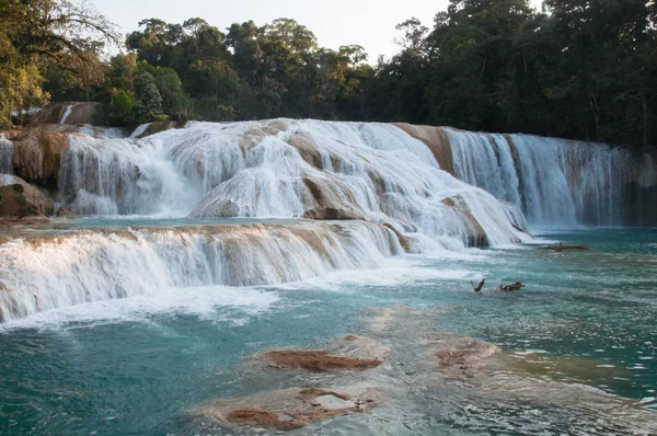 Agua Azul Watervallen, Chiapas, Mexico — Stockfoto