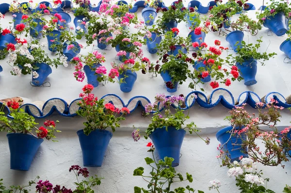 Festival of the Courtyards, Cordoba, Spain — Stock Photo, Image