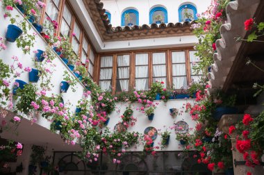 Festival, avlular, cordoba, İspanya