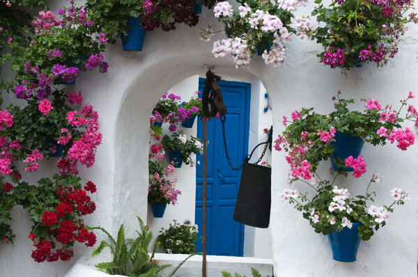 Festival of the Courtyards, Cordoba, Spain