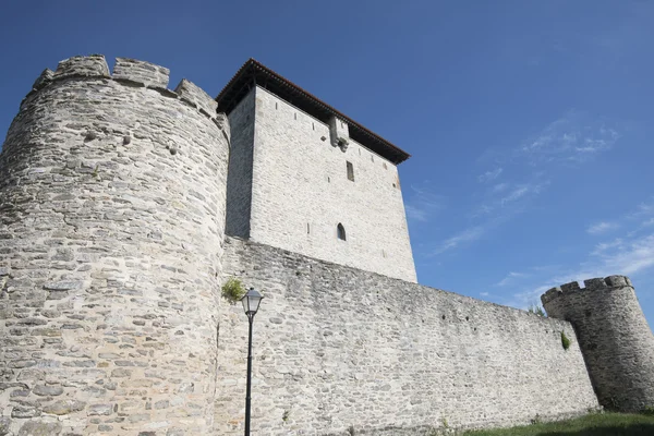 Opevněná věž mendoza, vitoria (Španělsko) — Stock fotografie