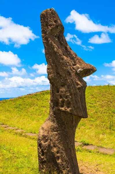Moai at Rano Raraku volcano, Easter island (Chile) — Stock Photo, Image