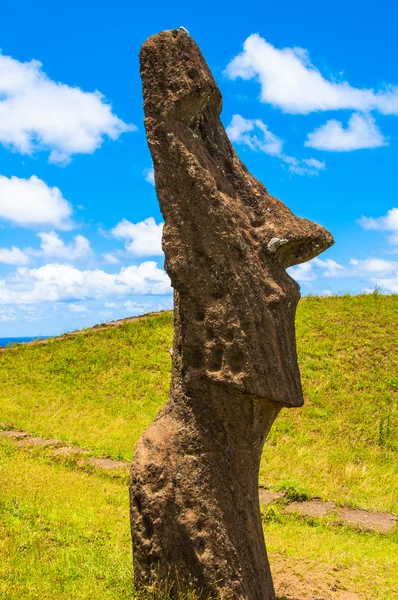 拉诺雷诺阿火山，（智利复活节岛石像) — 图库照片