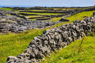 Inishmore, aran Islands, İngiltere