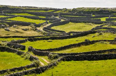 Inishmore, aran Islands, İngiltere