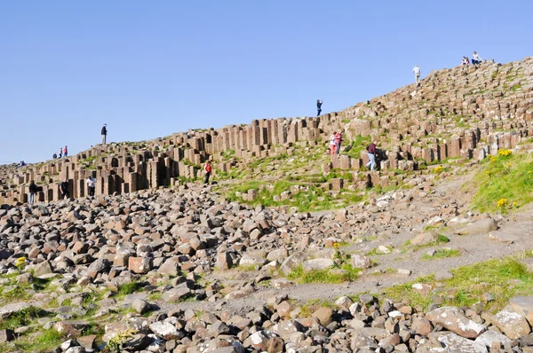 Causeway, Kuzey İrlanda dev — Stok fotoğraf