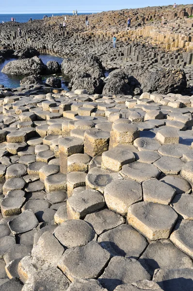 Calzada del Gigante, Irlanda del Norte — Foto de Stock