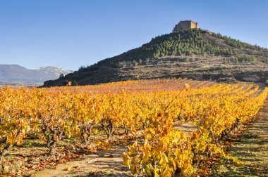sonbahar ve davalillo Kalesi, la rioja (İspanya üzüm bağları)