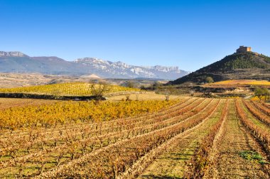 sonbahar ve davalillo Kalesi, la rioja (İspanya üzüm bağları)